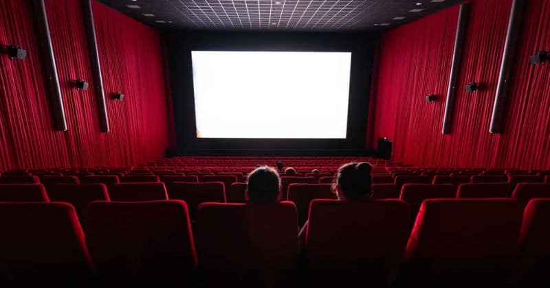 private vs. public theatres which offers the best experience